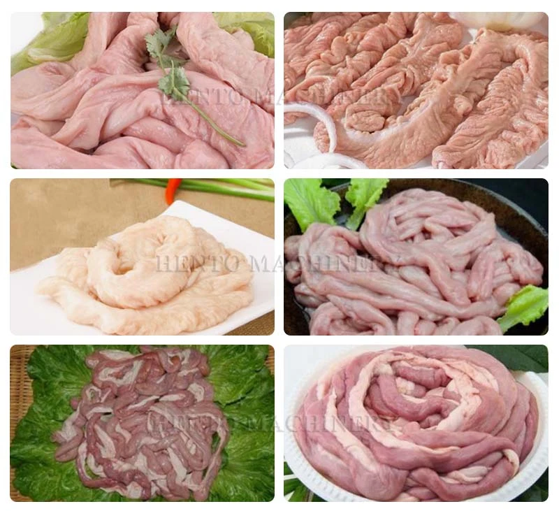 intestine cleaning machine