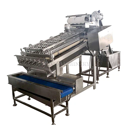 Prawns sheller