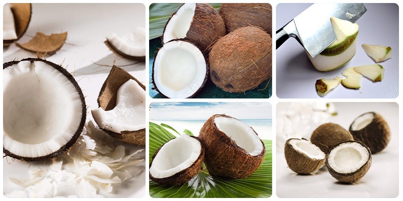 Coconut Cutting Machine Coconut Cutting Machine