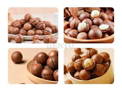 Macadamia Nut Cracker Machine Macadamia Nut Cracker Machine